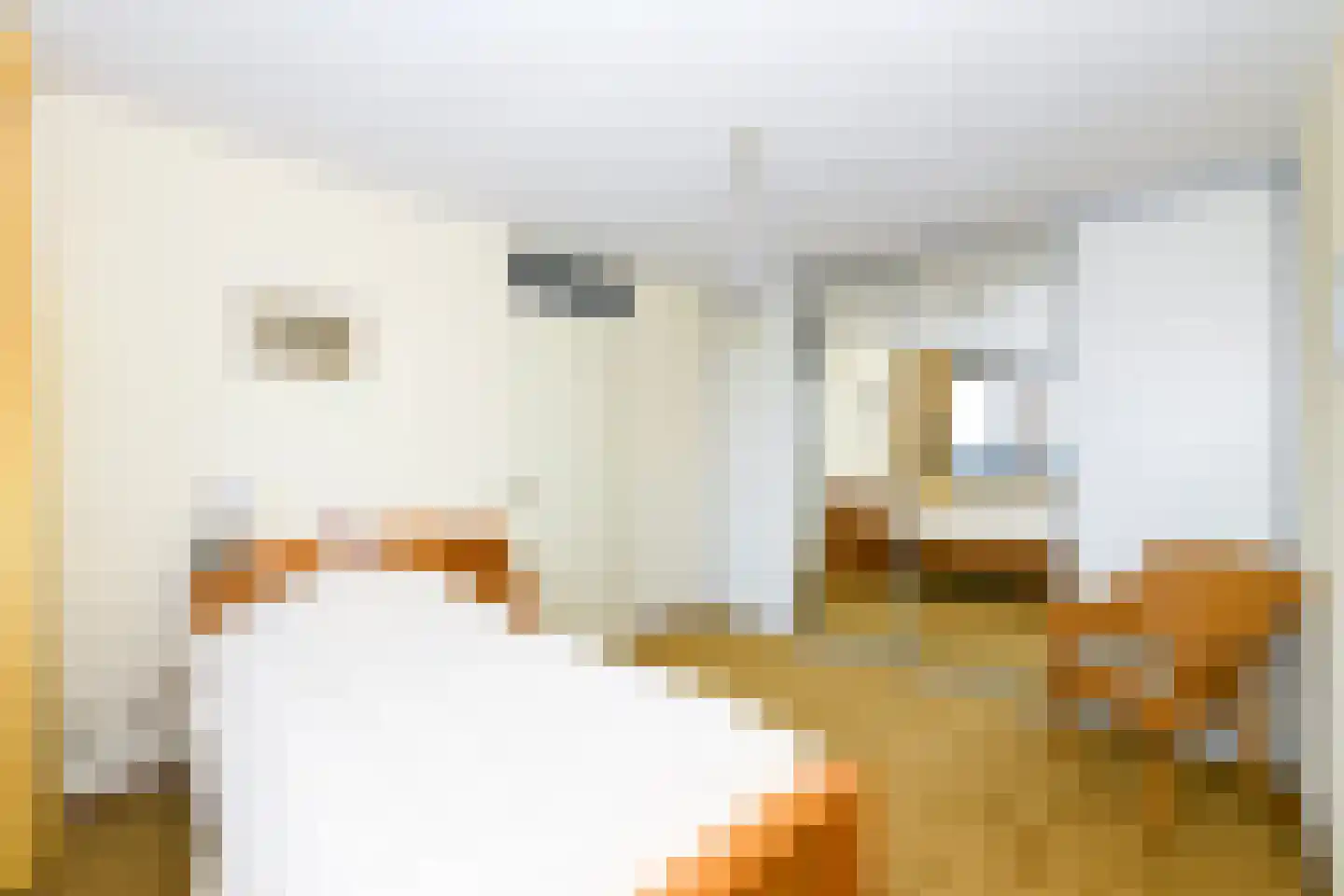 Plein 2000 2000 85 Huizen thumbnail 11