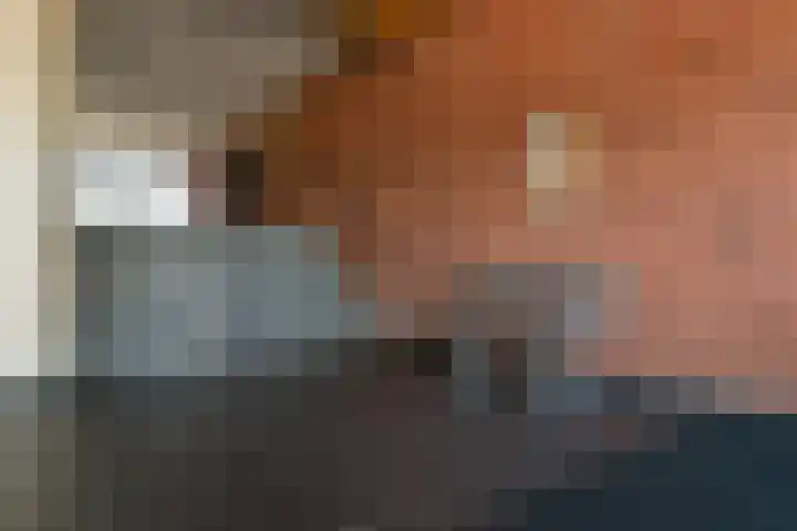 Plein 2000 73 Huizen thumbnail 31