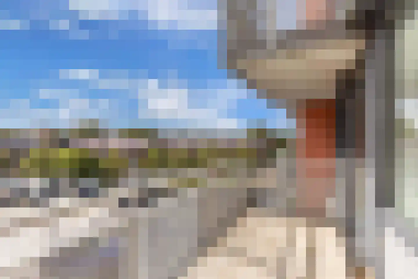 Plein 2000 85 Huizen thumbnail 22