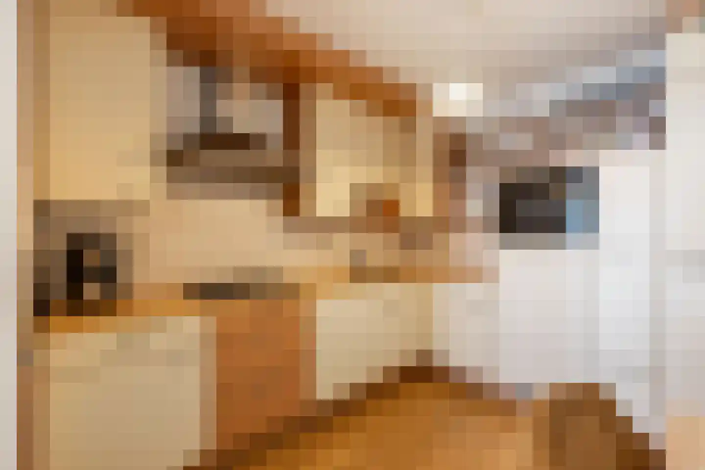 Plein 2000 85 Huizen thumbnail 27
