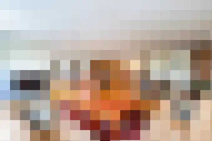Plein 22 Bergen (NH) thumbnail 15
