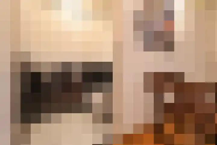 Plein 22 Bergen (NH) thumbnail 17