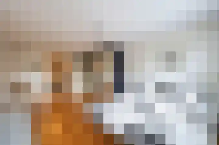 Plein 22 Bergen (NH) thumbnail 19