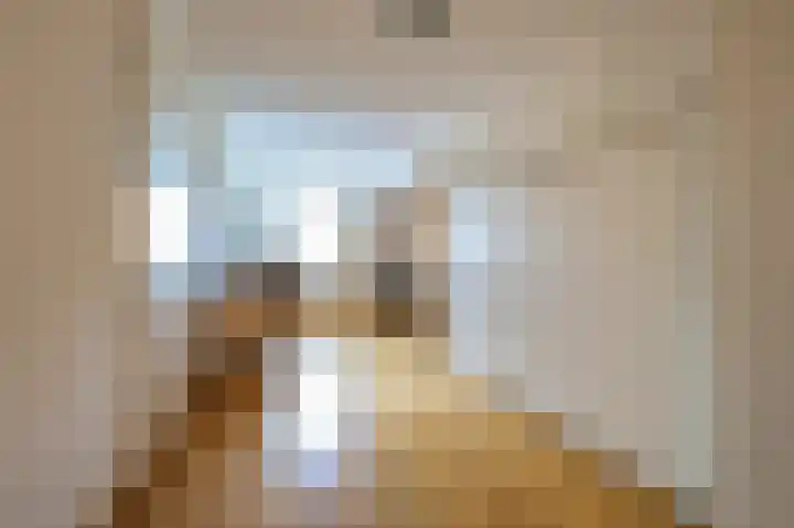 Plein 22 Bergen (NH) thumbnail 22