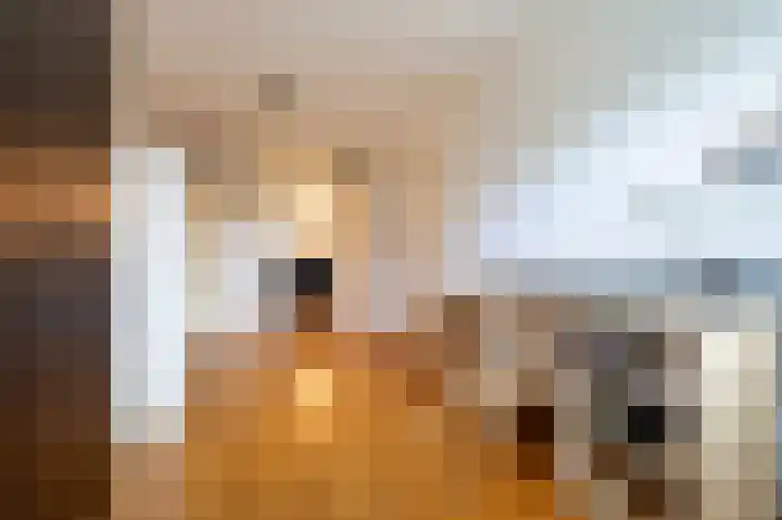 Plein 22 Bergen (NH) thumbnail 23
