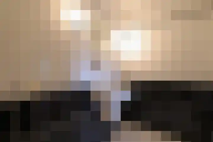 Plein 22 Bergen (NH) thumbnail 25