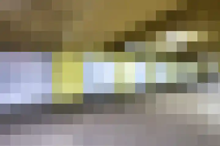 Plein 22 Bergen (NH) thumbnail 27