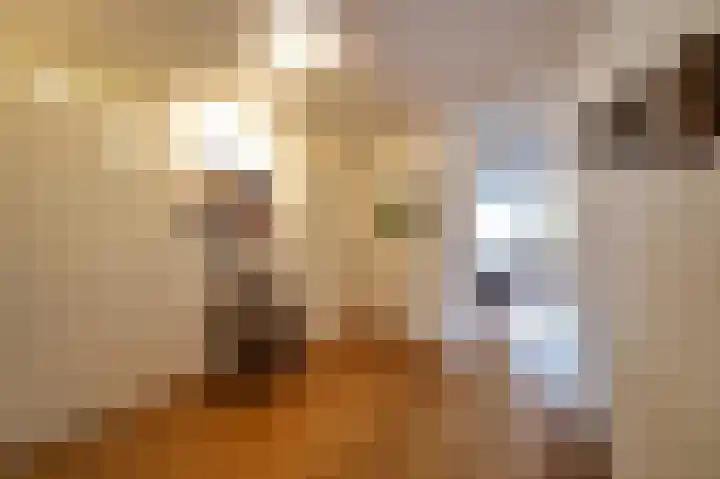 Plein 22 Bergen (NH) thumbnail 6