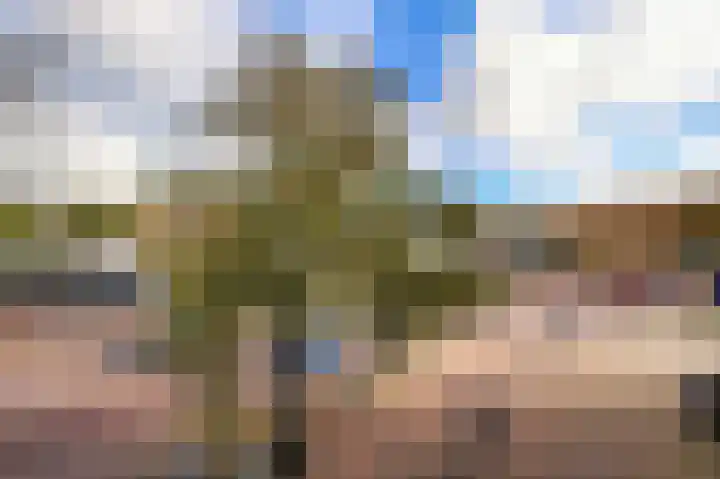 Plein 22 Bergen (NH) thumbnail 9