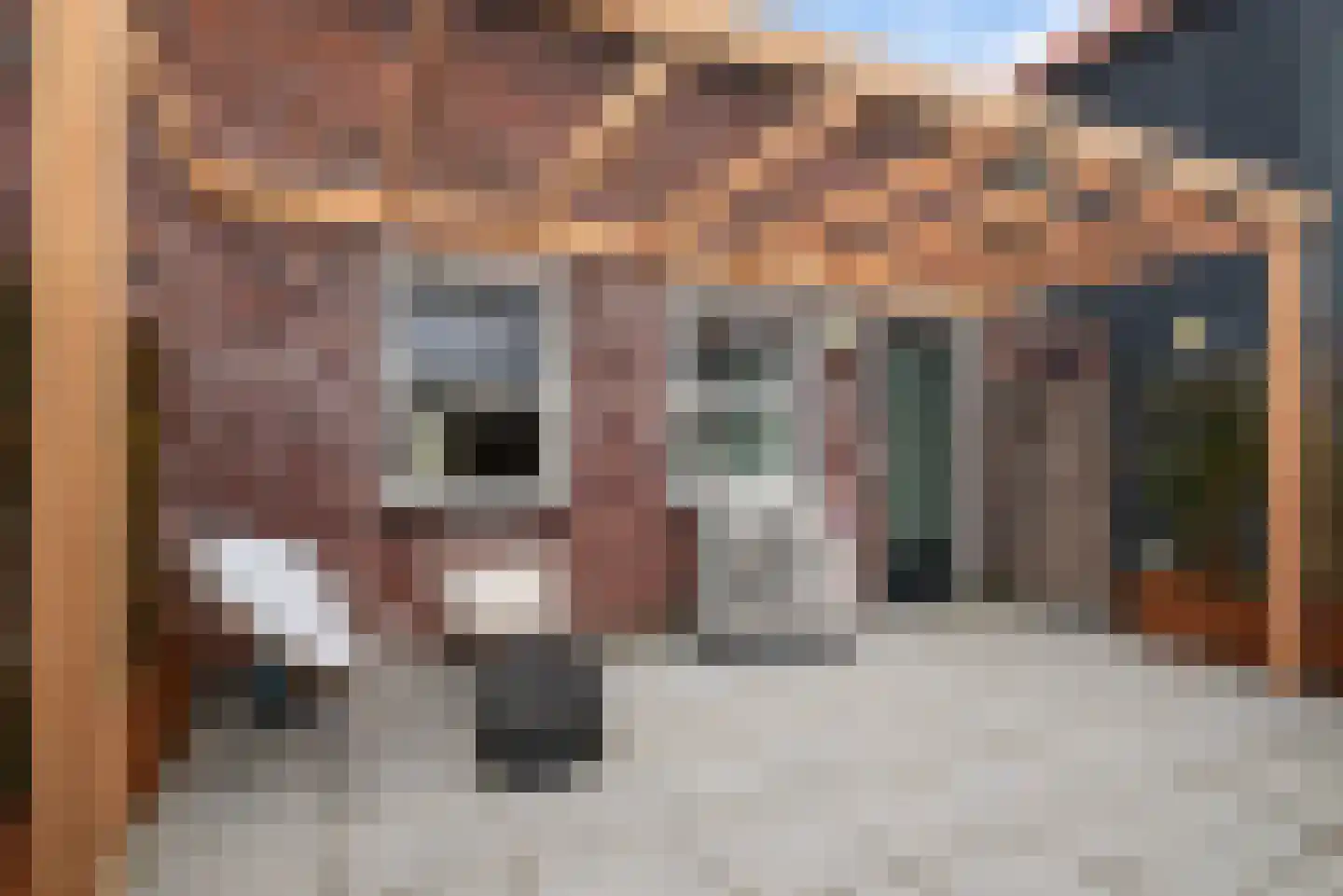 Plein 24 Bergen (NH) thumbnail 11