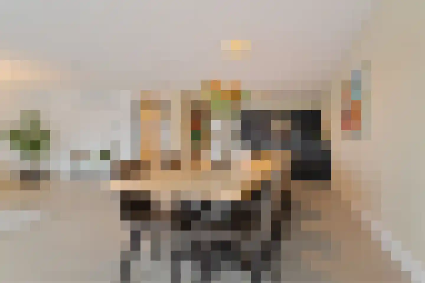 Plein 24 Bergen (NH) thumbnail 23