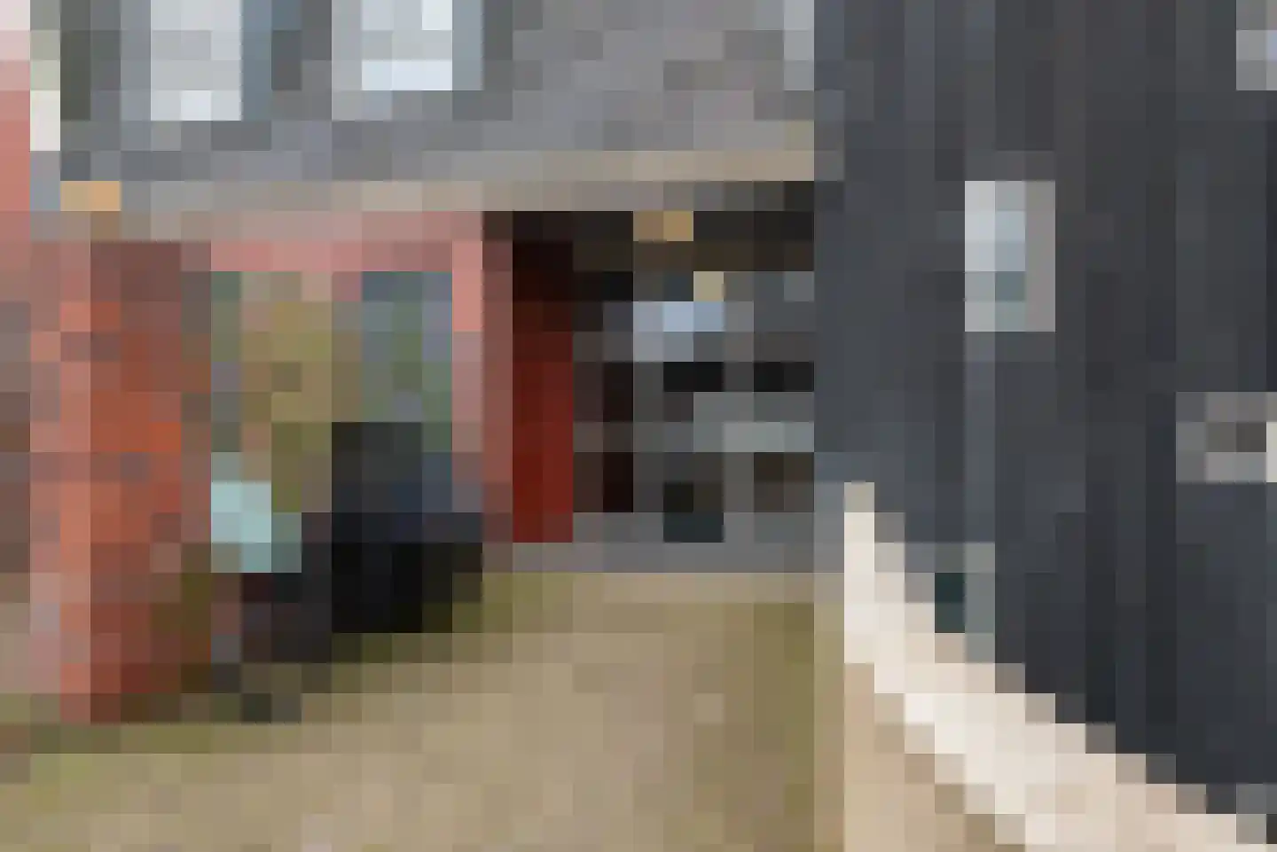 Plein 24 Bergen (NH) thumbnail 7
