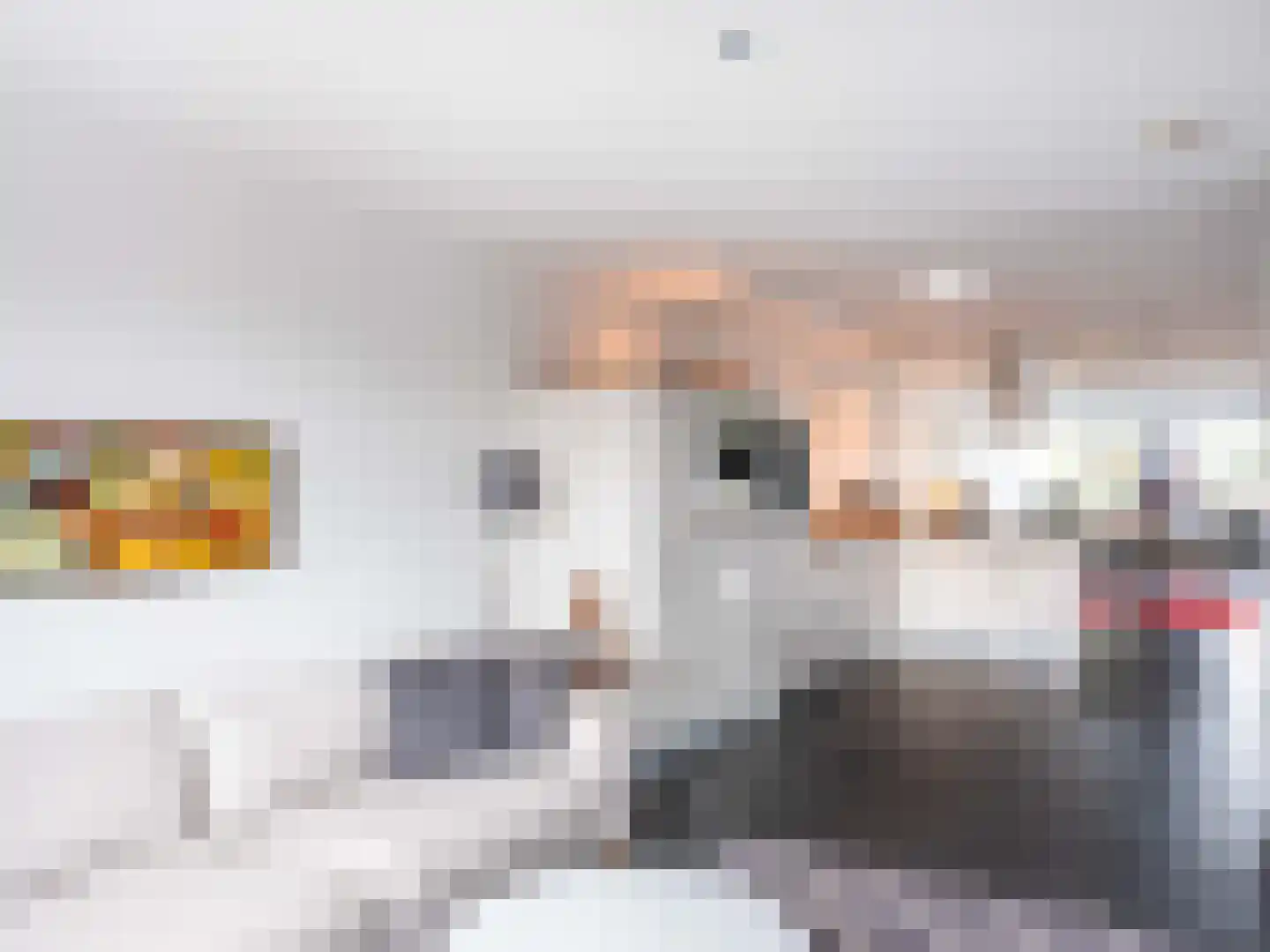 Plein 32 Bergen (NH) thumbnail 12