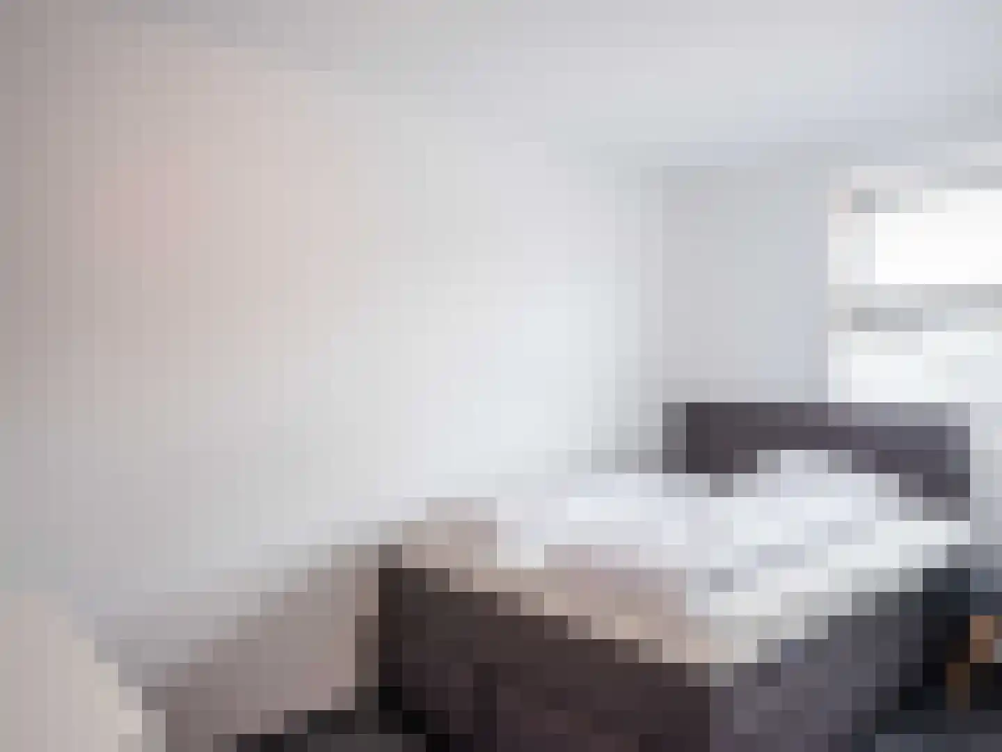 Plein 32 Bergen (NH) thumbnail 16