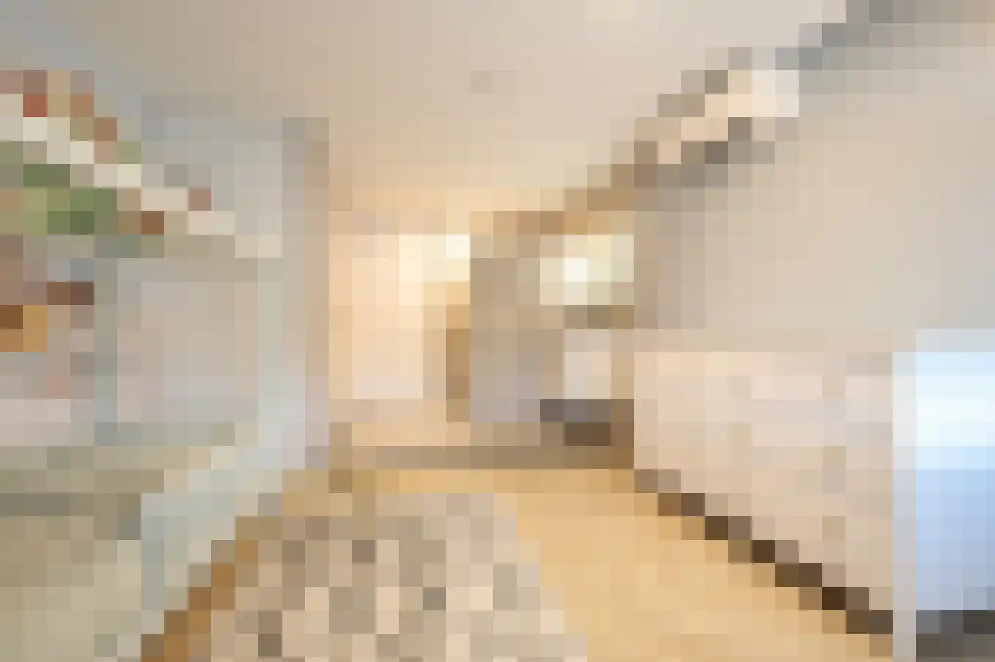 Plein 34 Bergen (NH) thumbnail 20