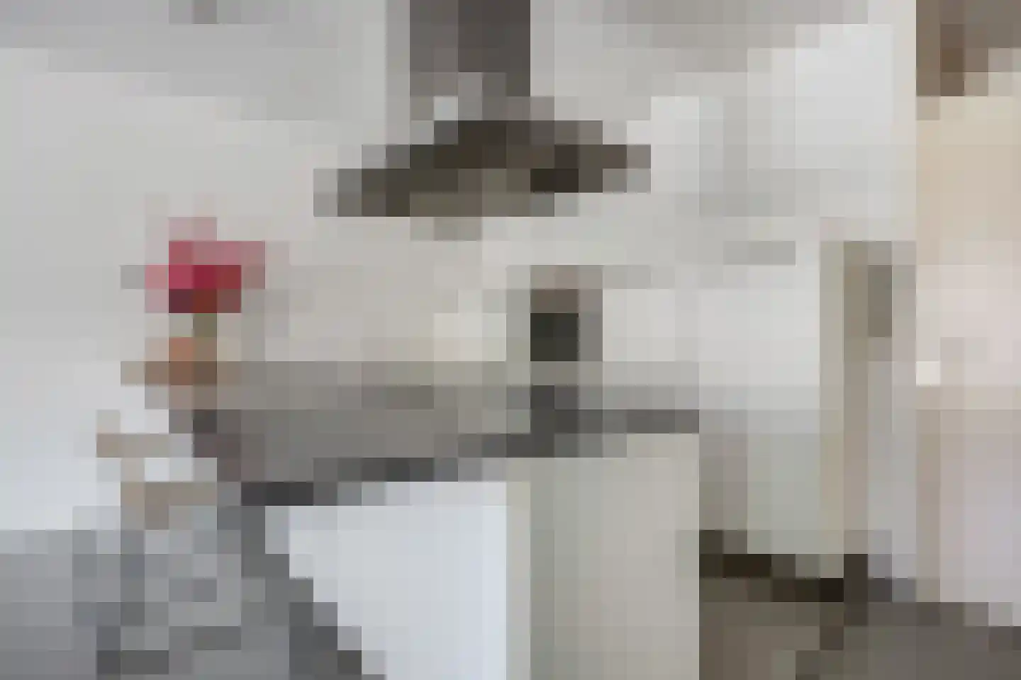 Plein 38 12 Tiel thumbnail 6