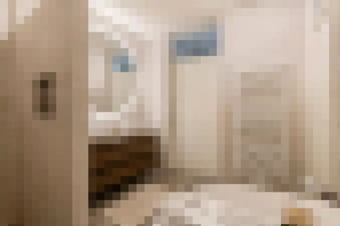 Plein 38 23 Tiel thumbnail 29