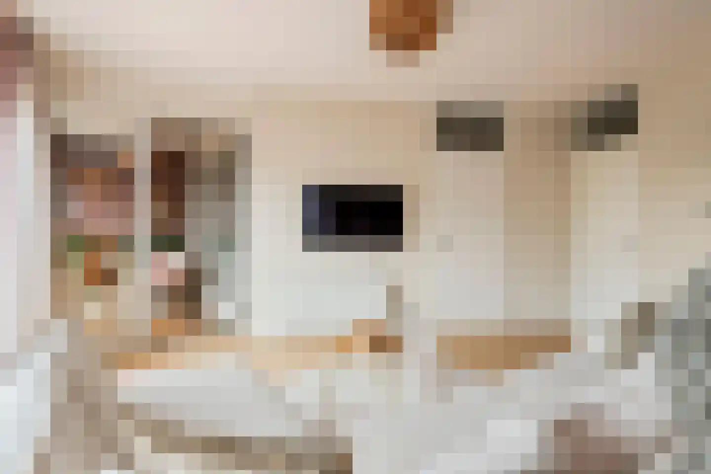 Plein 38 23 Tiel thumbnail 9