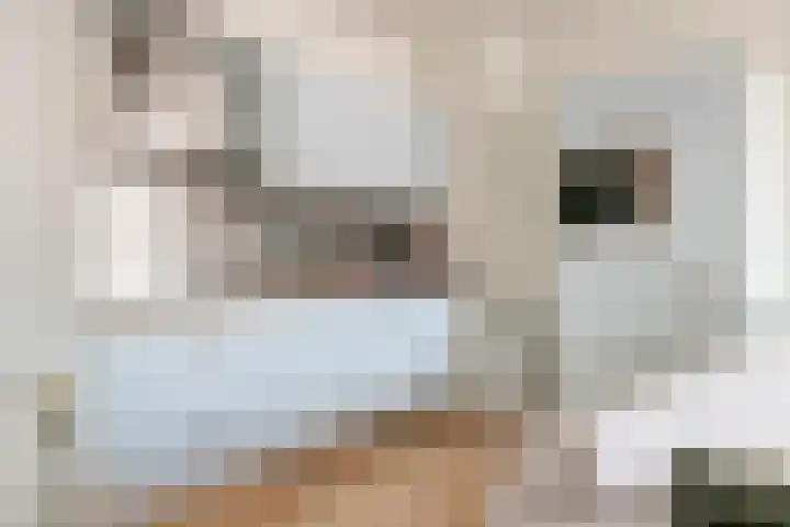 Plein 38 24 Tiel thumbnail 10