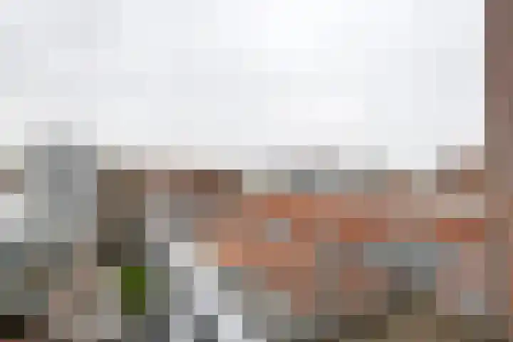Plein 38 24 Tiel thumbnail 24