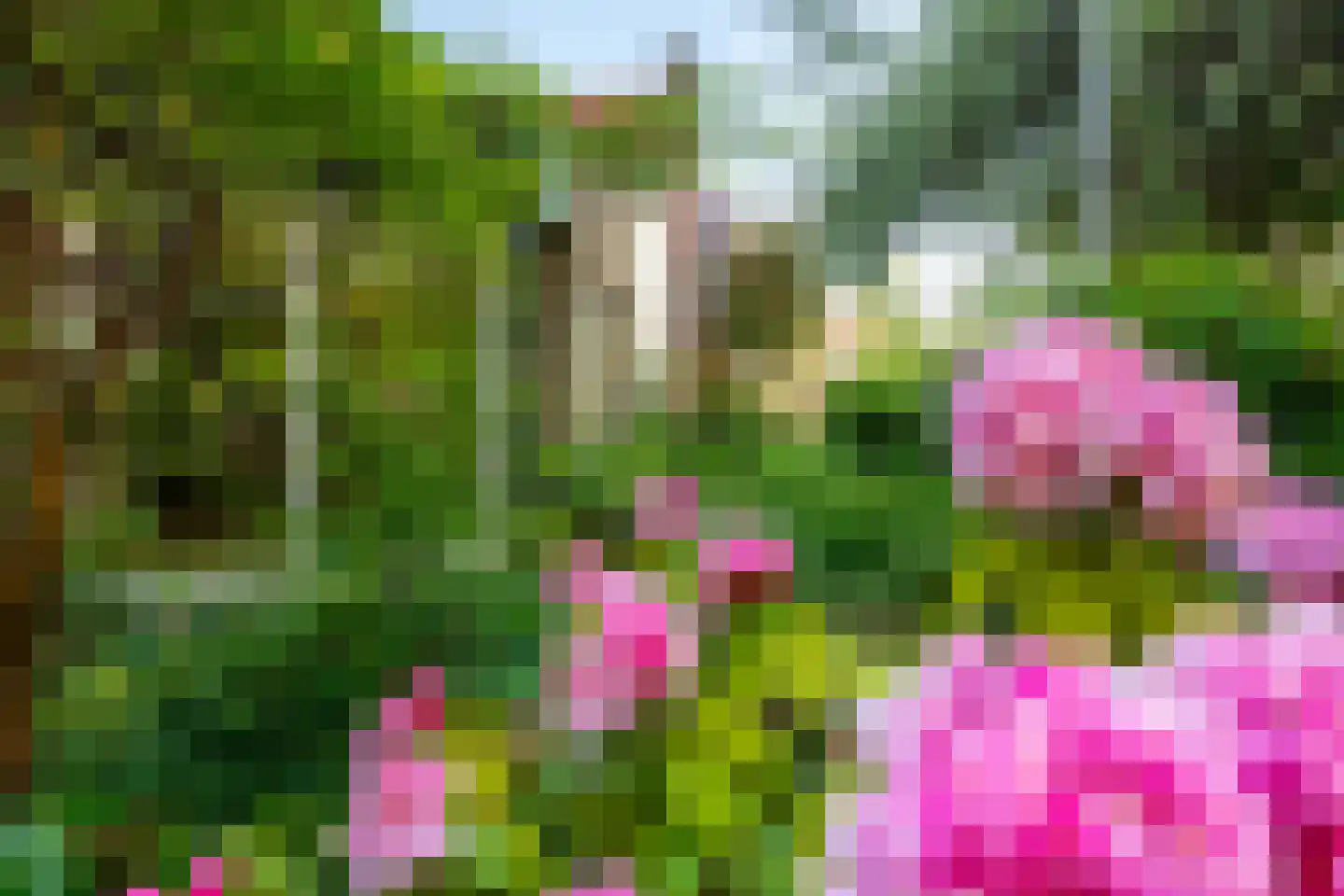 Plein 4 Houten thumbnail 23