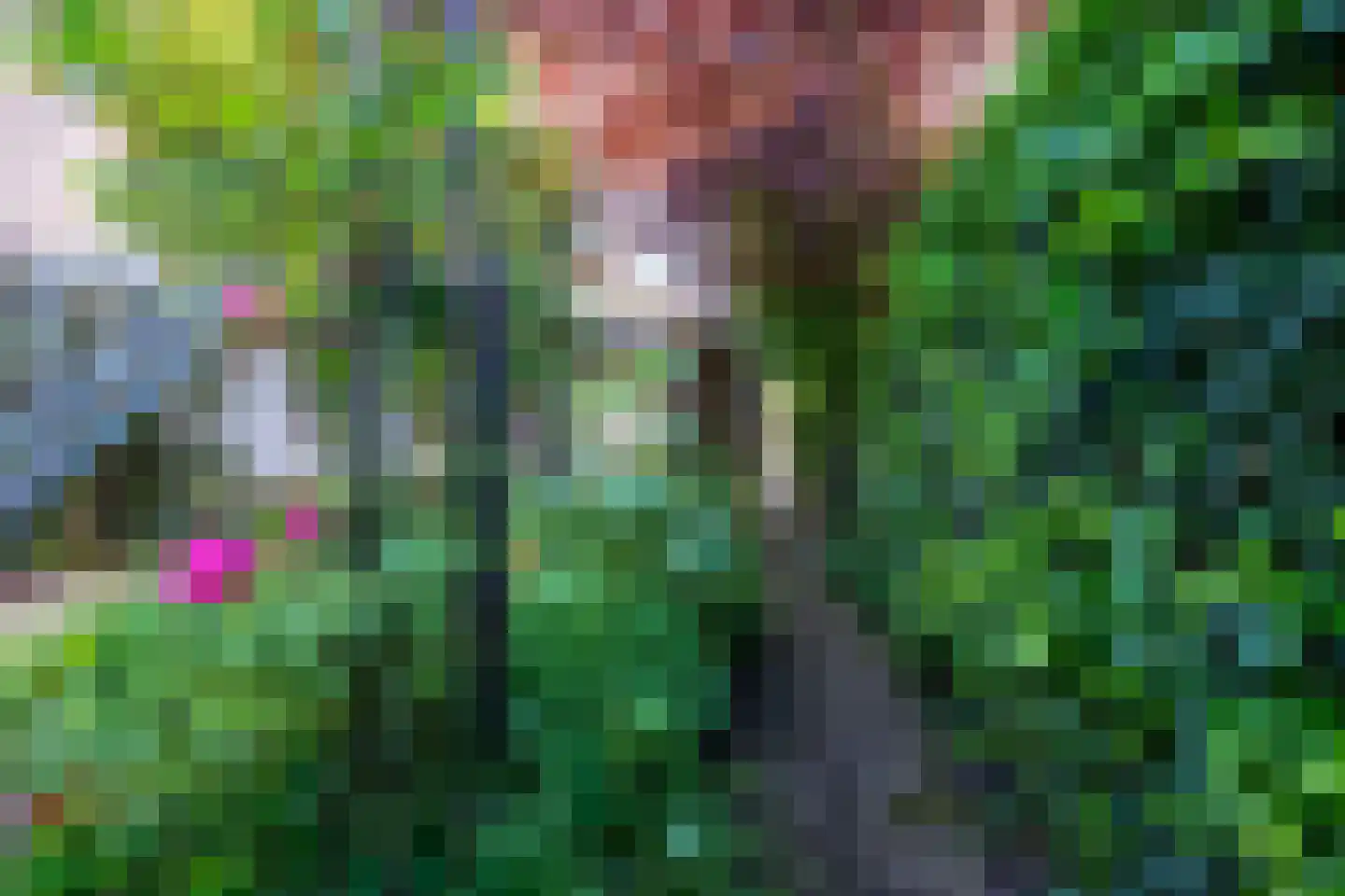 Plein 4 Houten thumbnail 27