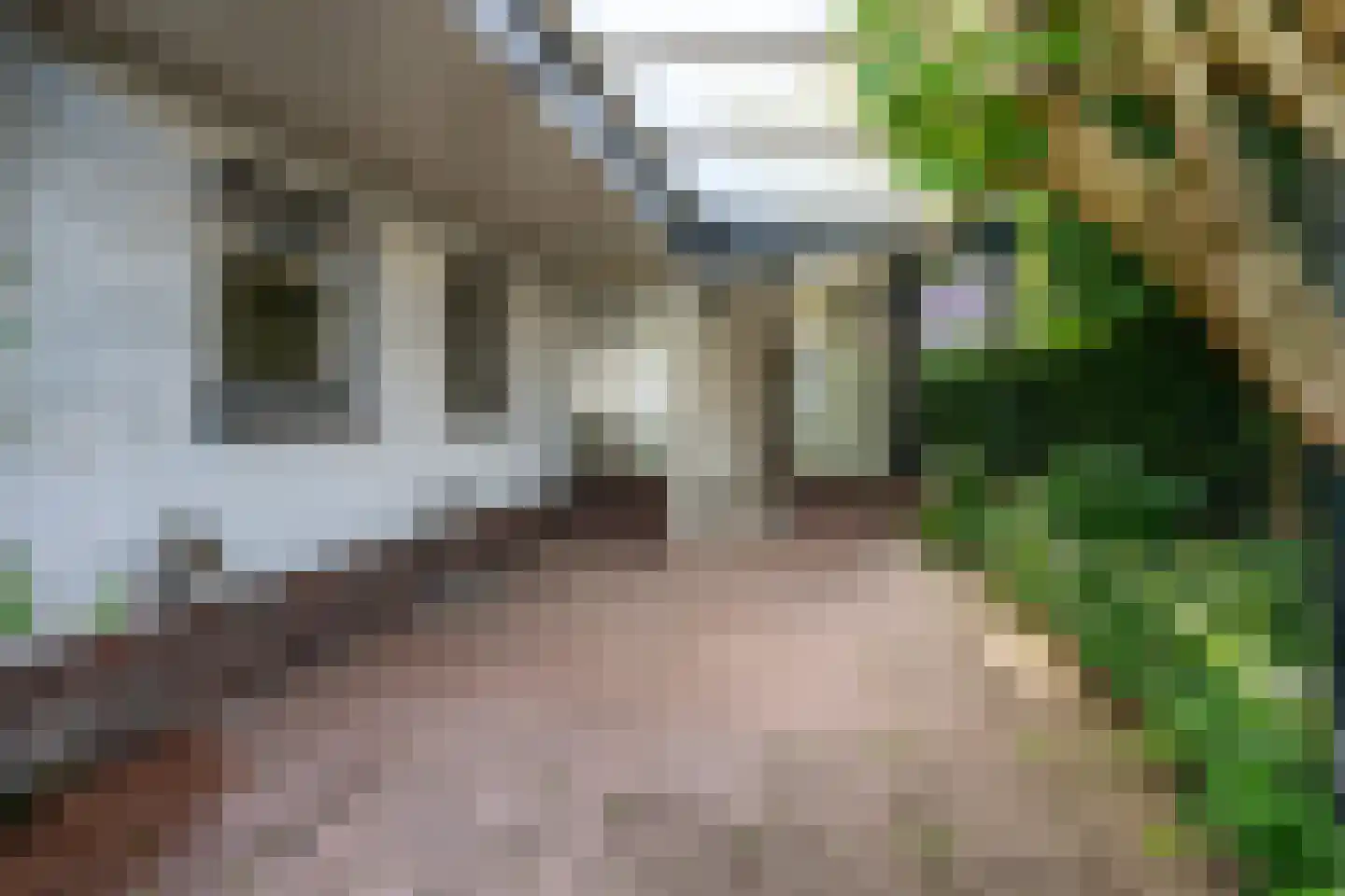 Plein 4 Houten thumbnail 28
