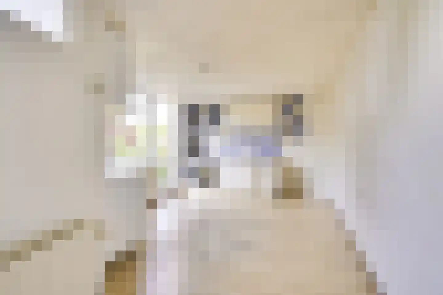 Plein 4 Houten thumbnail 43