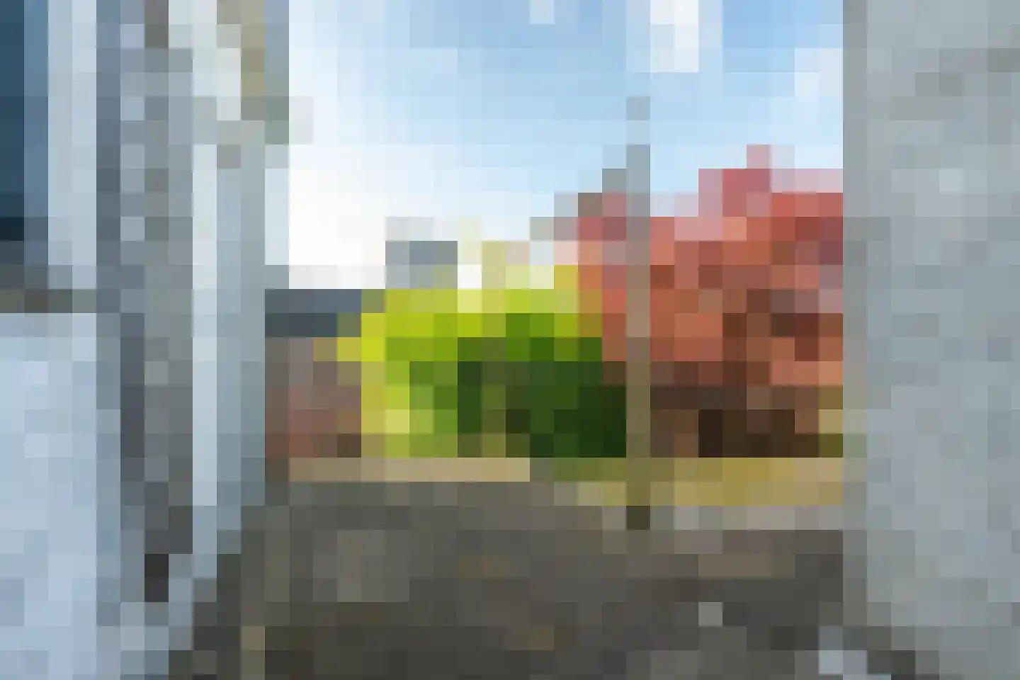 Plein 4 Houten thumbnail 45