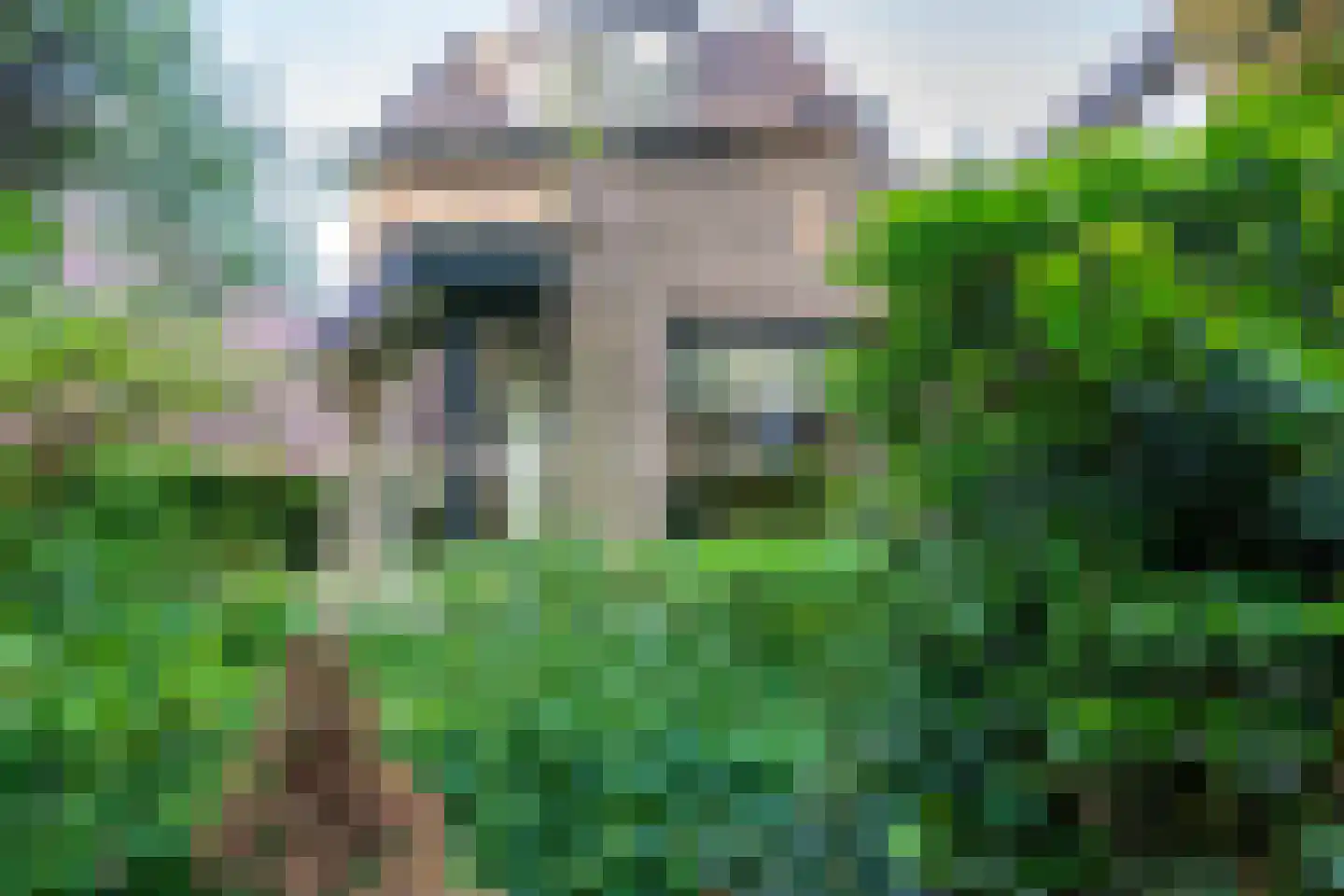 Plein 4 Houten thumbnail 62