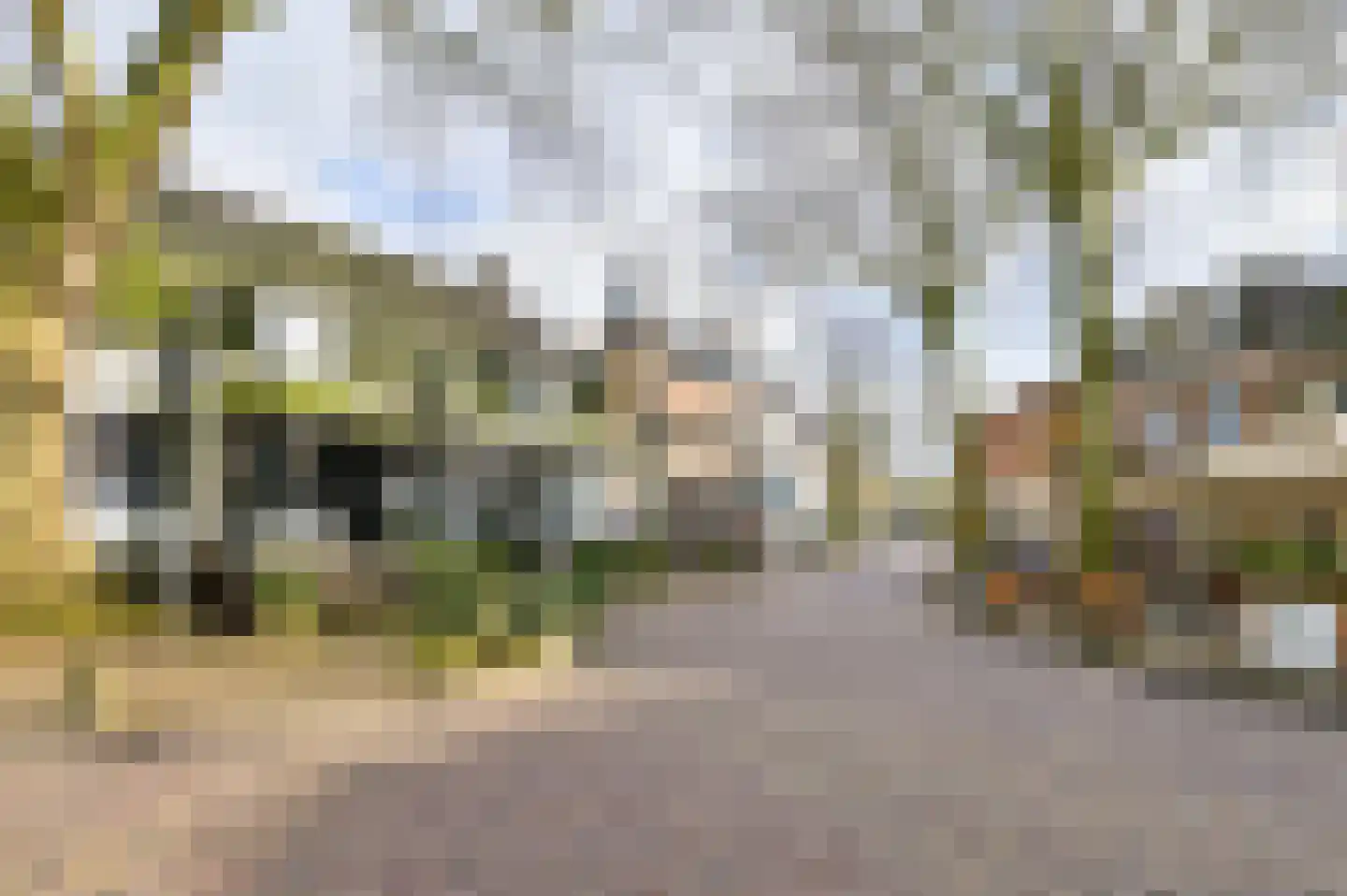 Plein 4 Houten thumbnail 64