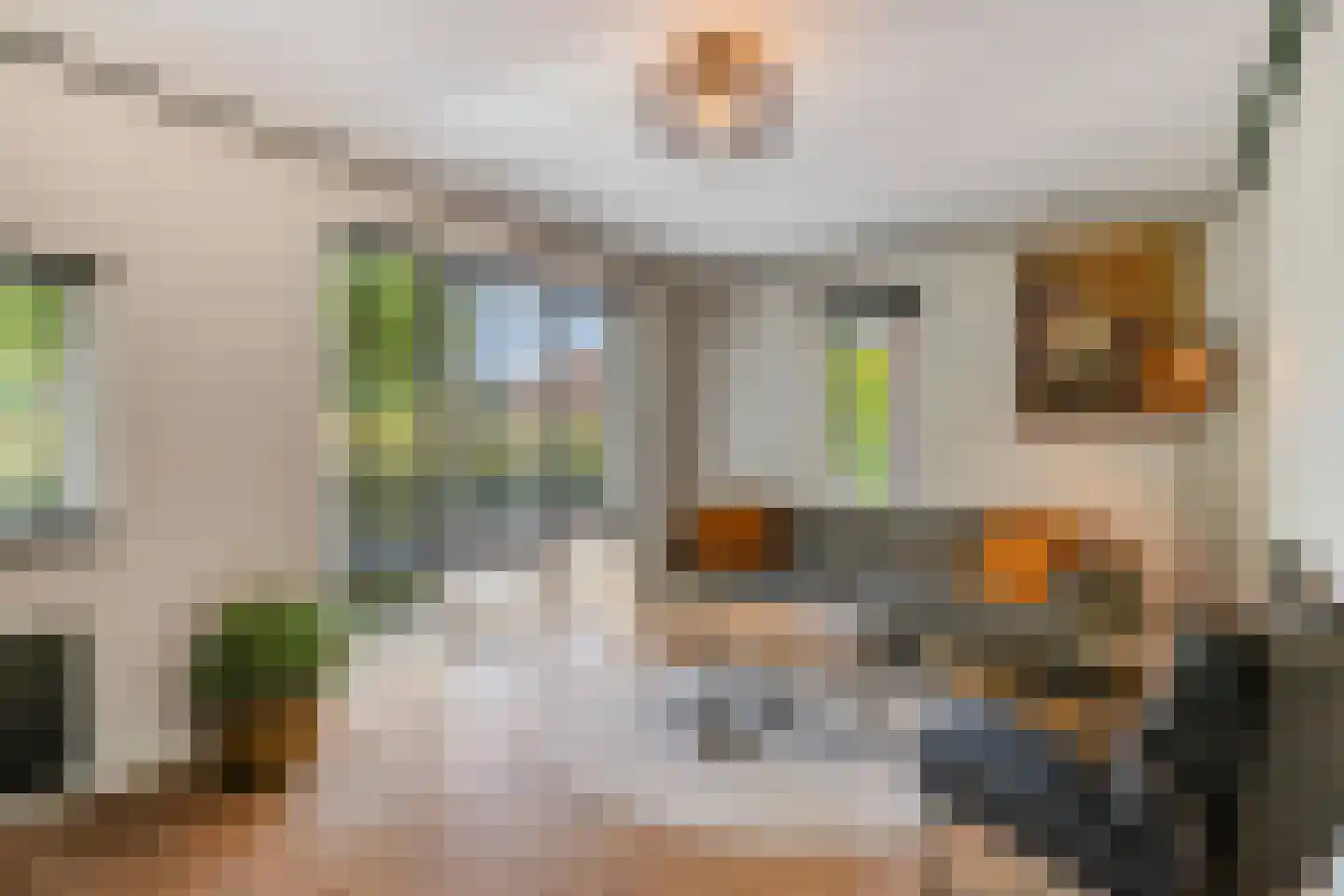Plein 40-45 4 Steenbergen thumbnail 9