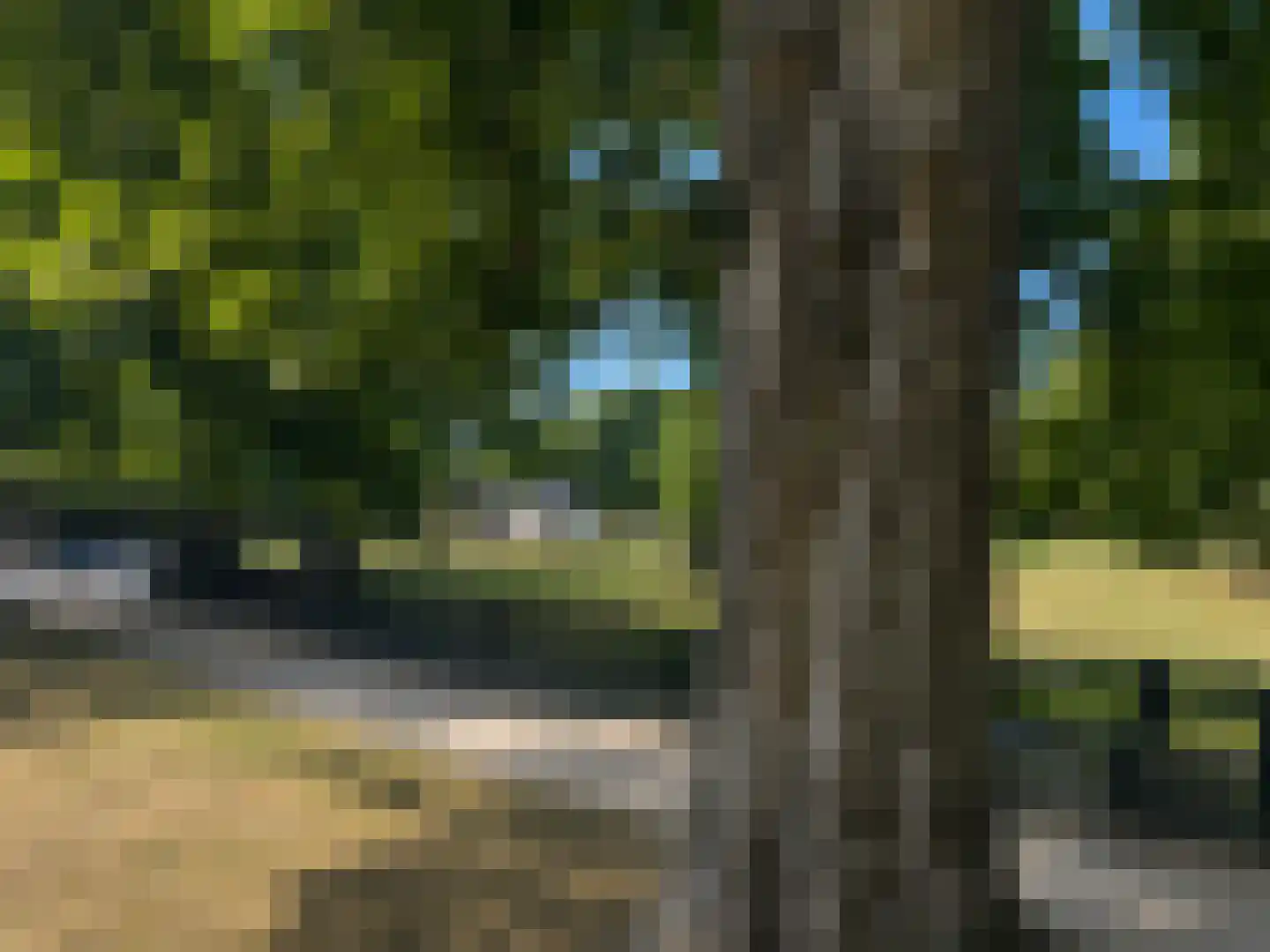 Plein 43 Bergen (NH) thumbnail 24