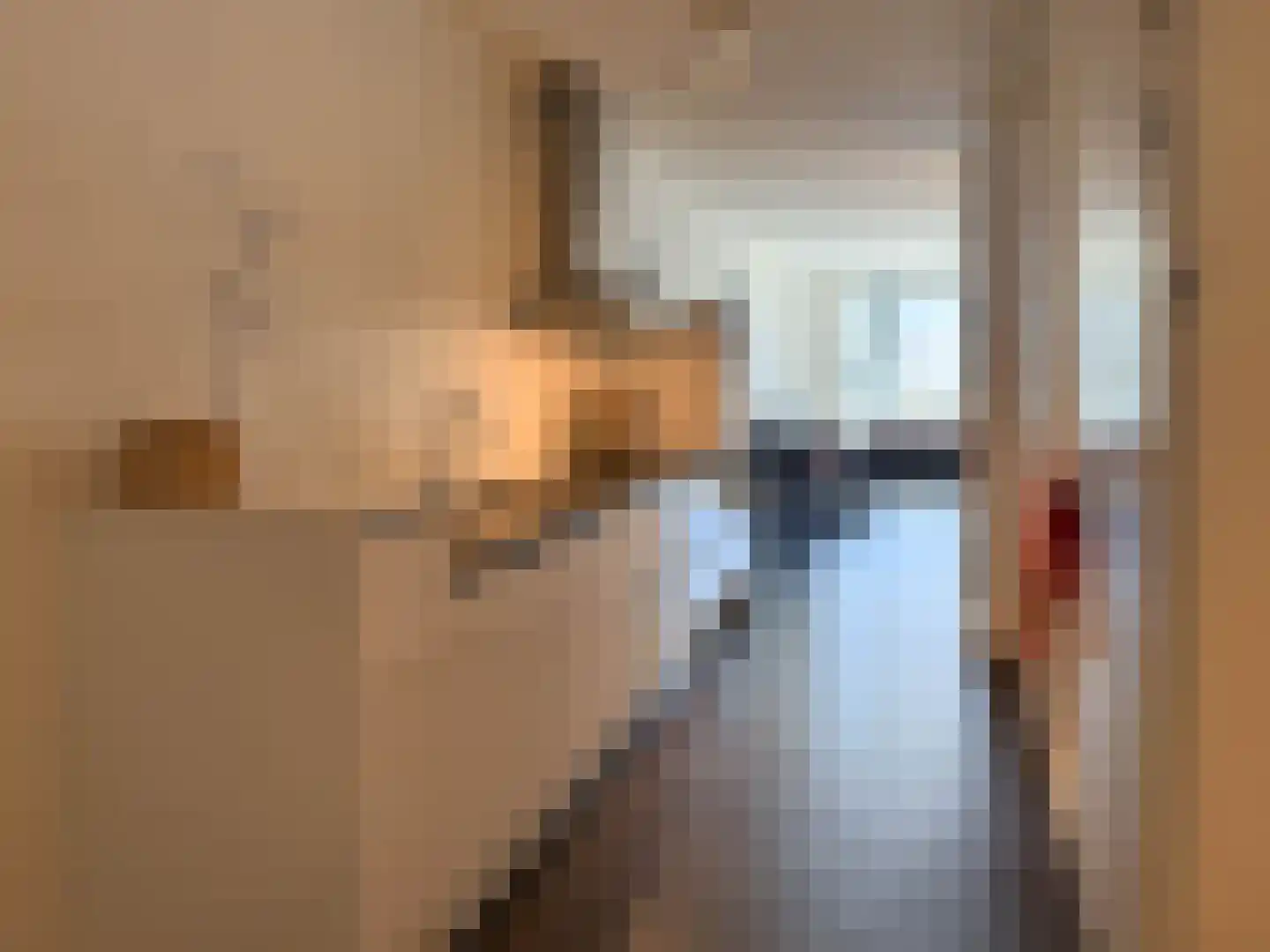 Plein 43 Bergen (NH) thumbnail 8