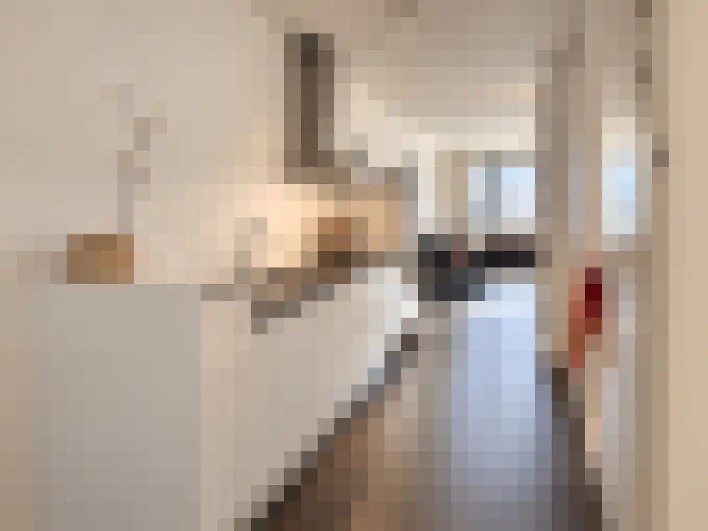Plein 43 Bergen (NH) thumbnail 8