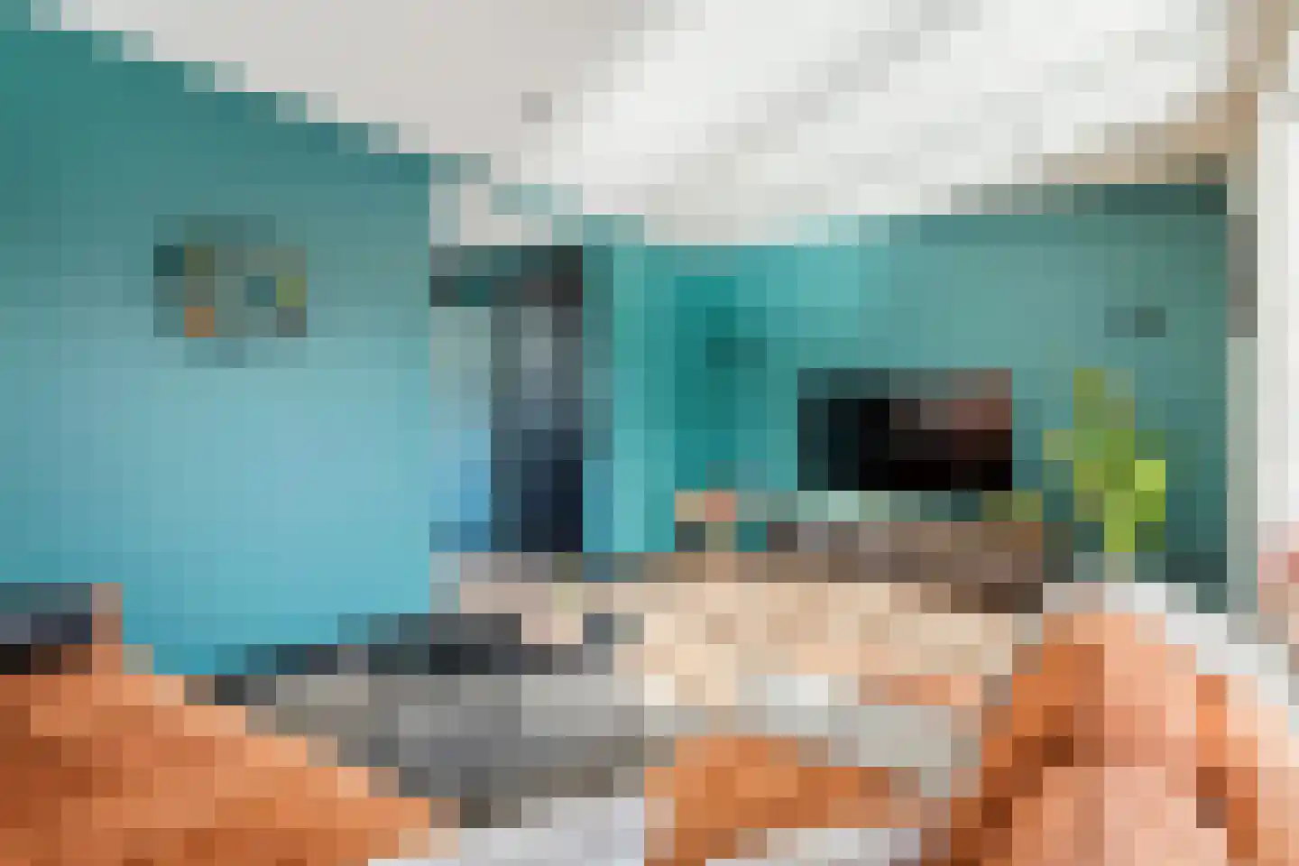 Plein 5 Zoelmond thumbnail 11
