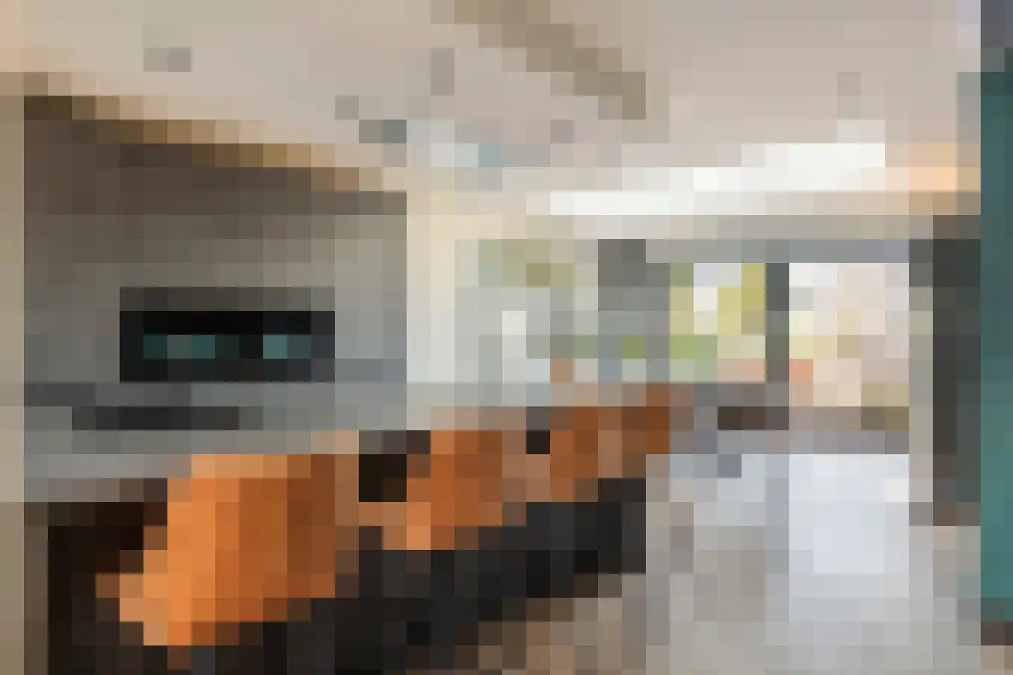 Plein 5 Zoelmond thumbnail 15
