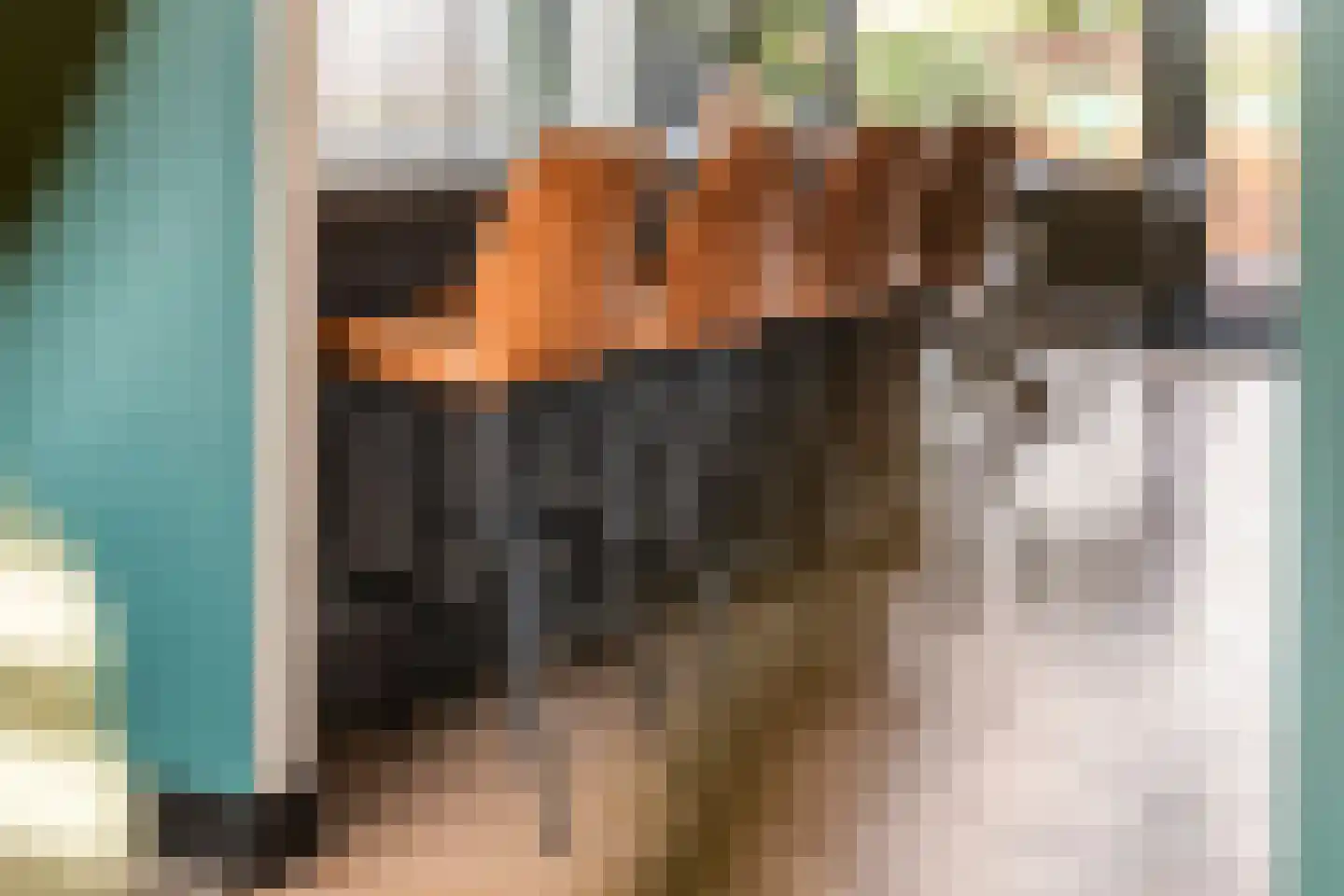 Plein 5 Zoelmond thumbnail 16