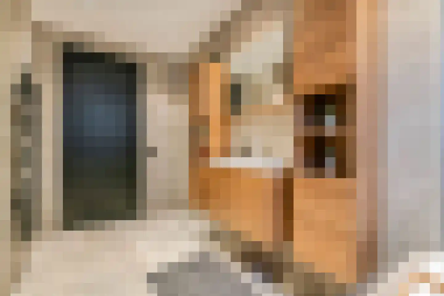 Plein 5 Zoelmond thumbnail 28
