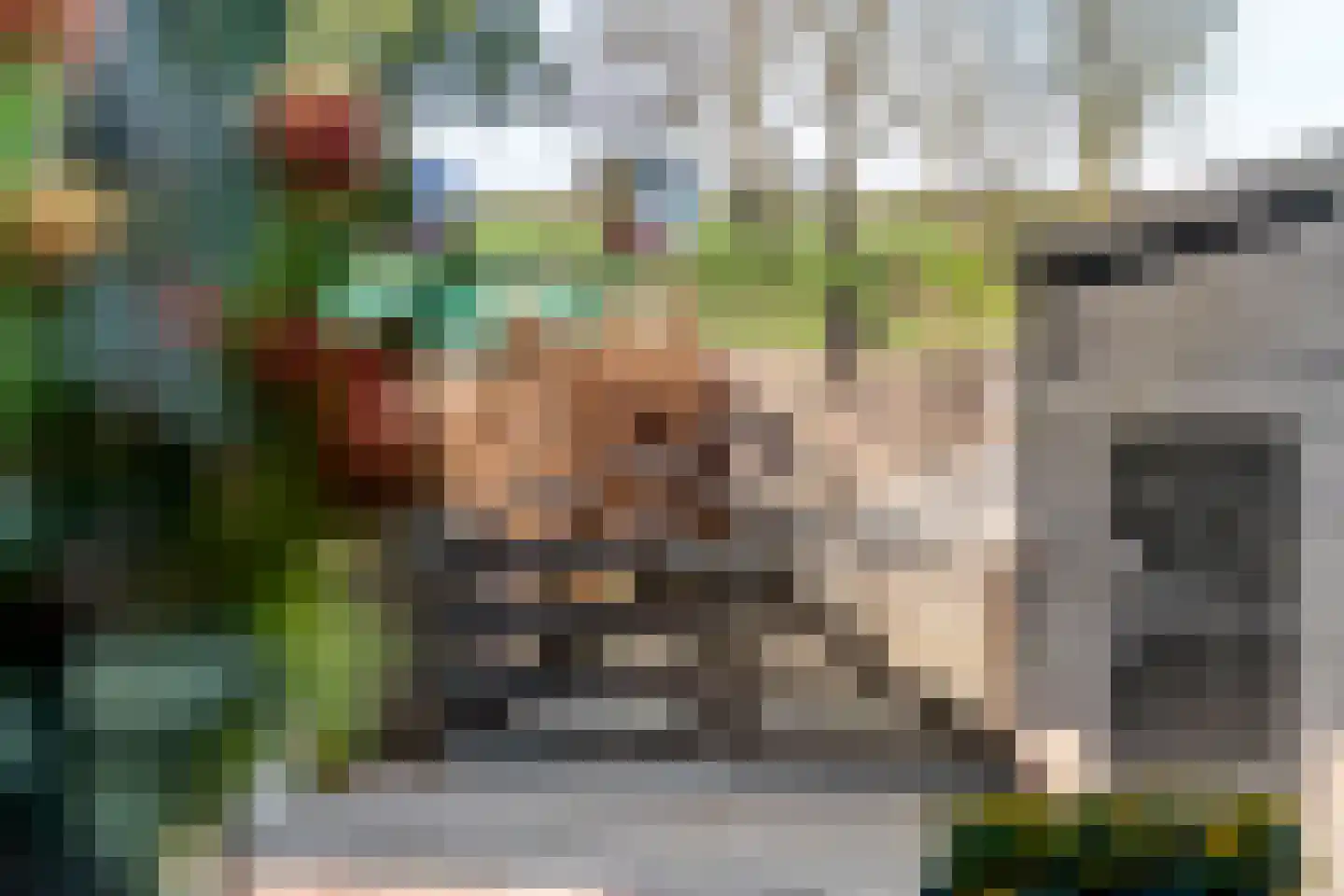 Plein 5 Zoelmond thumbnail 34