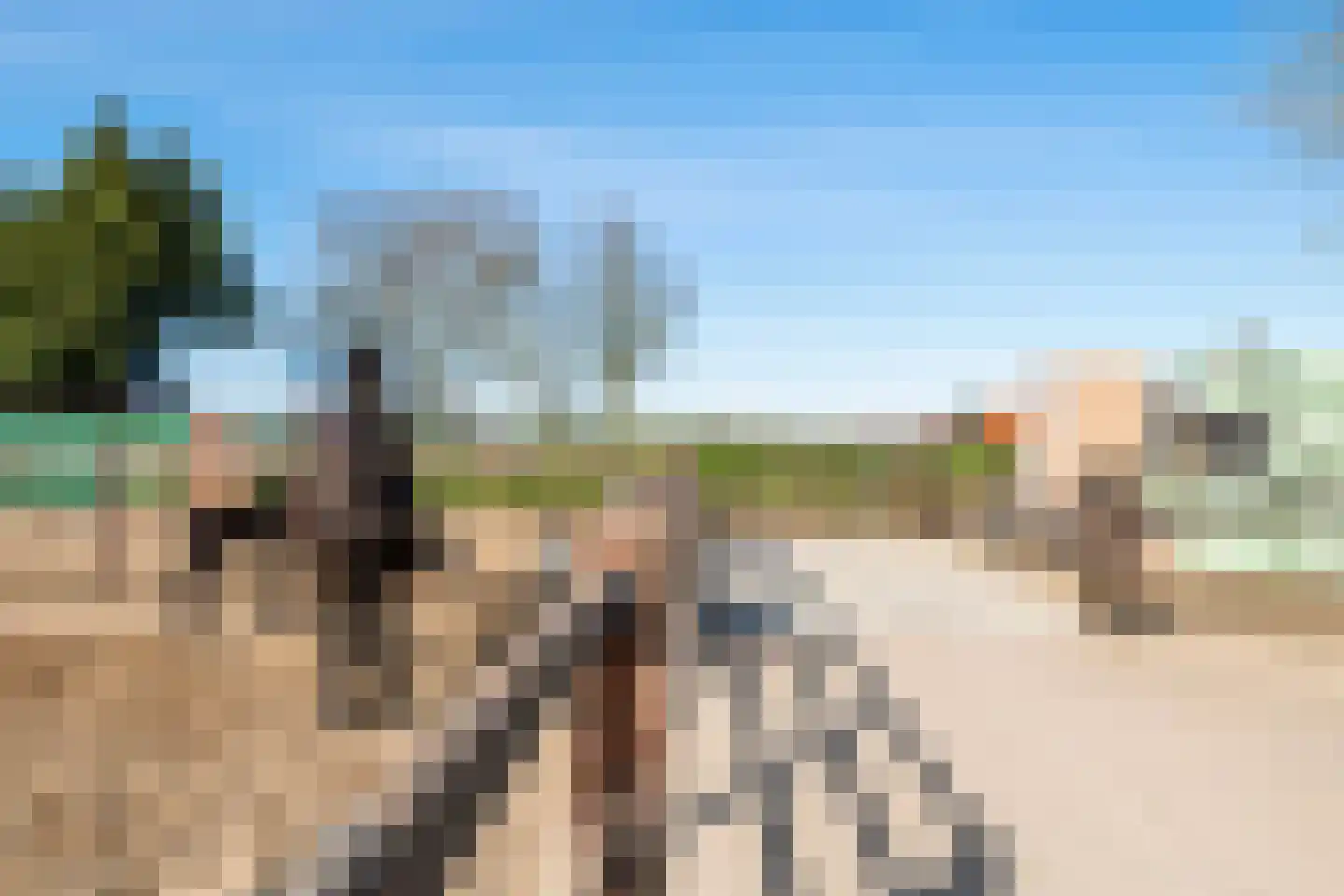 Plein 5 Zoelmond thumbnail 35
