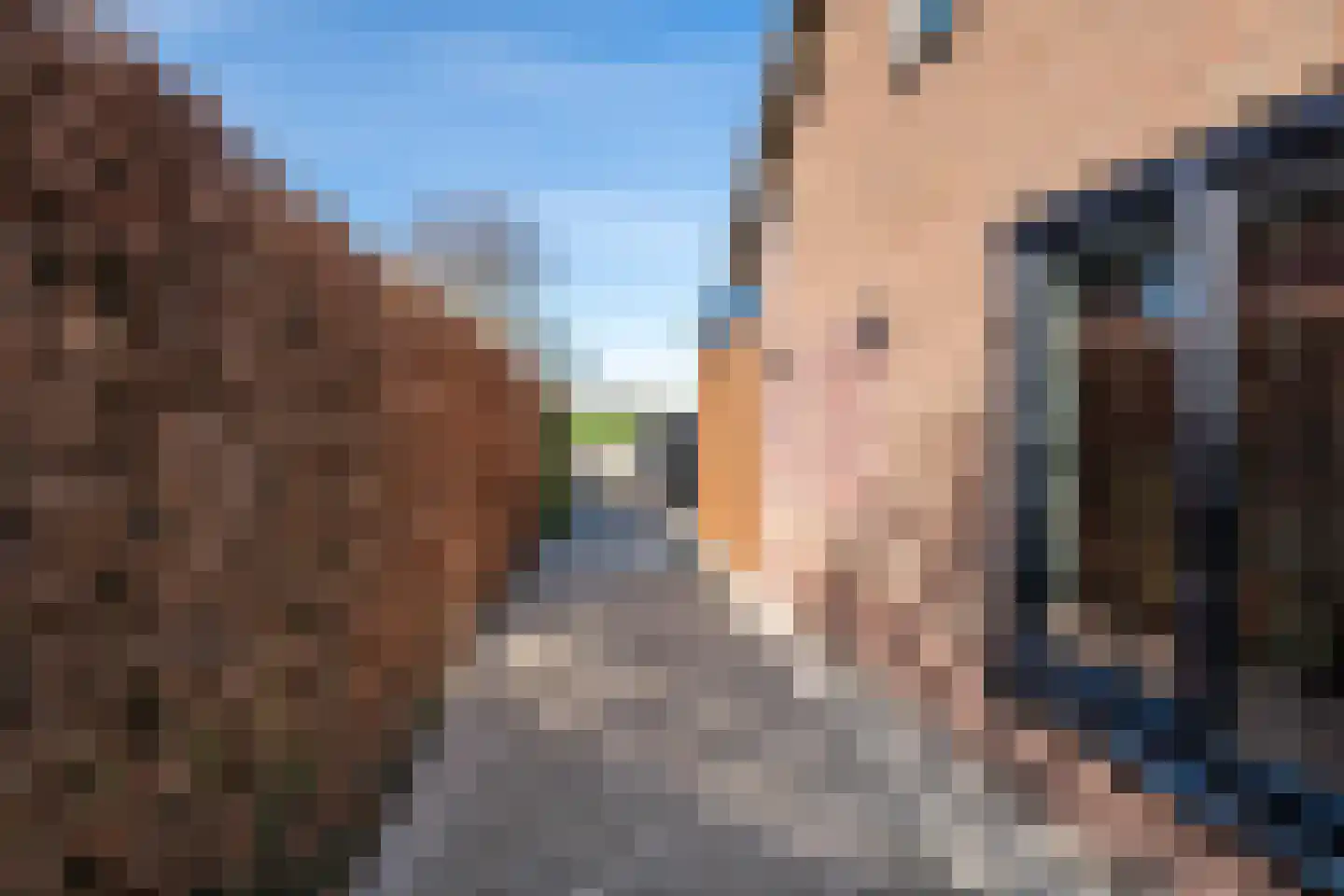 Plein 5 Zoelmond thumbnail 39