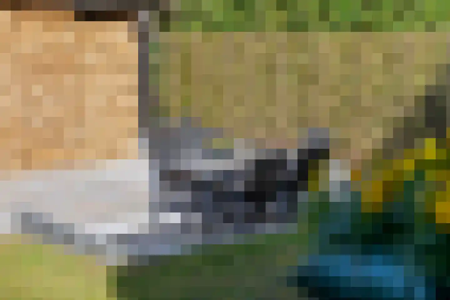 Plein 5 Zoelmond thumbnail 43