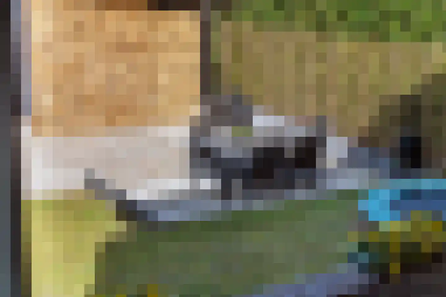 Plein 5 Zoelmond thumbnail 44