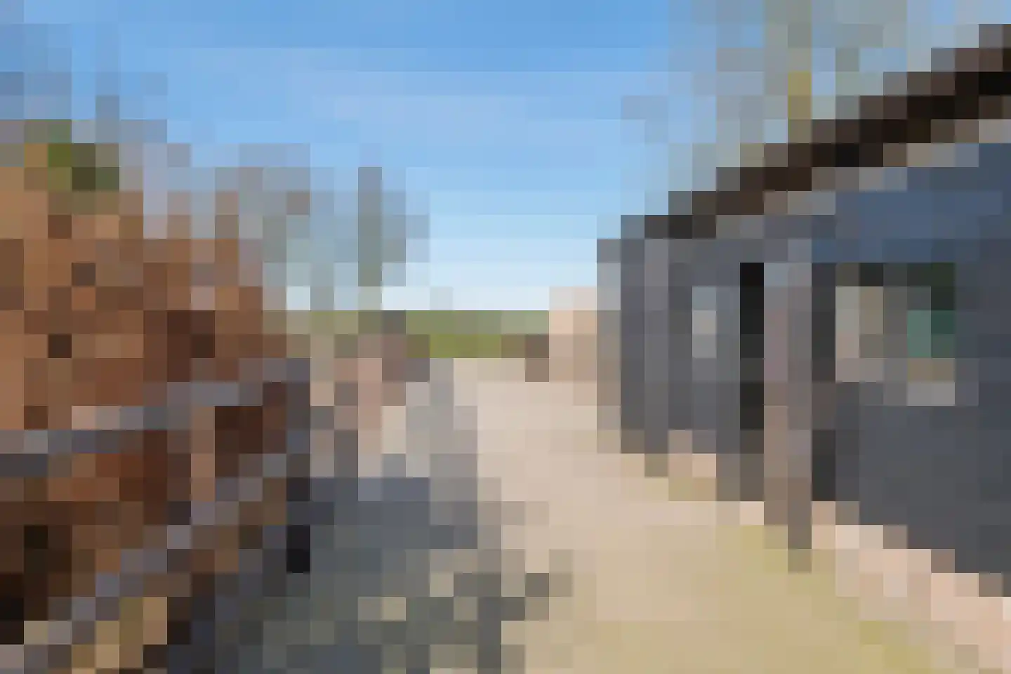 Plein 5 Zoelmond thumbnail 46