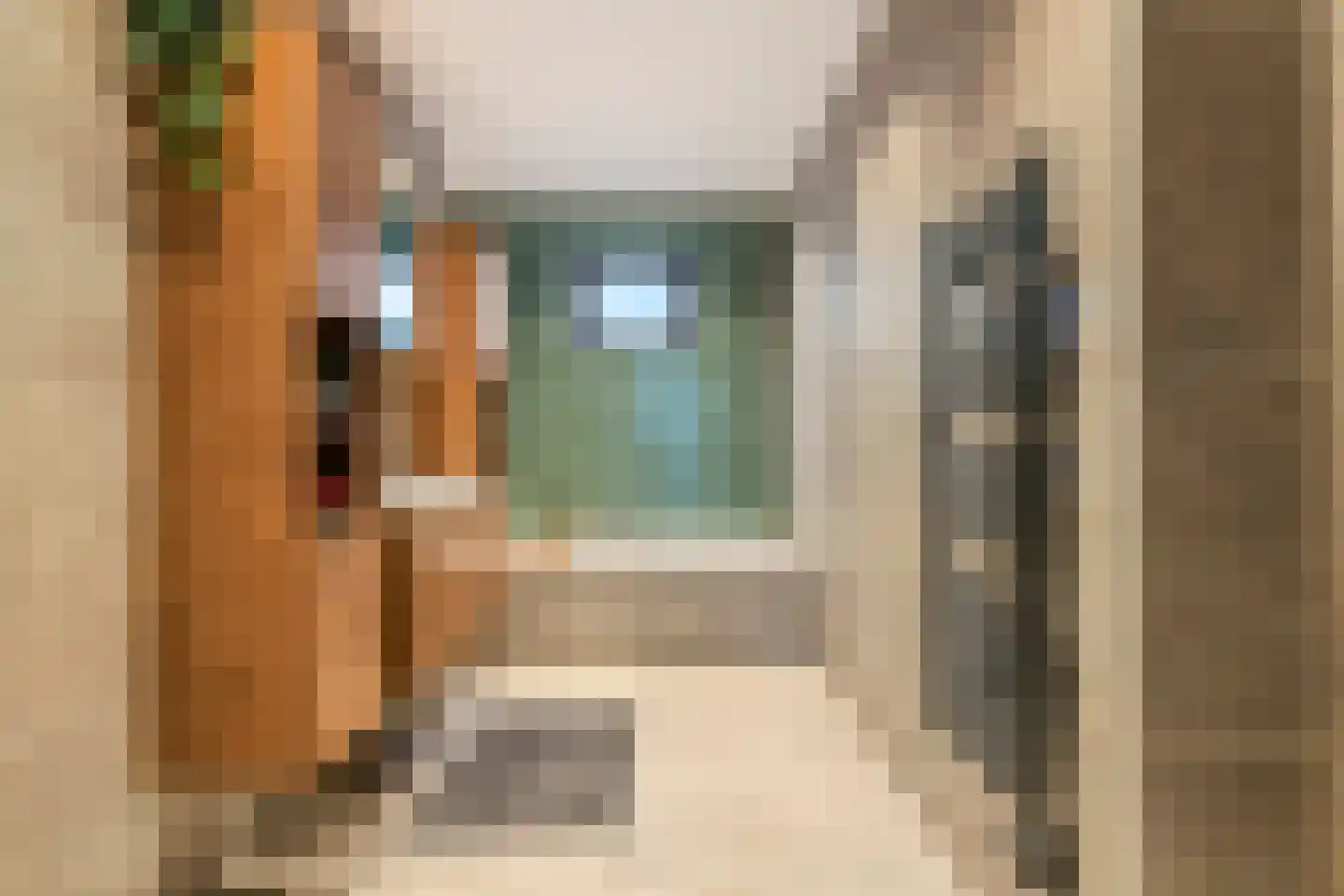 Plein 5 Zoelmond thumbnail 5