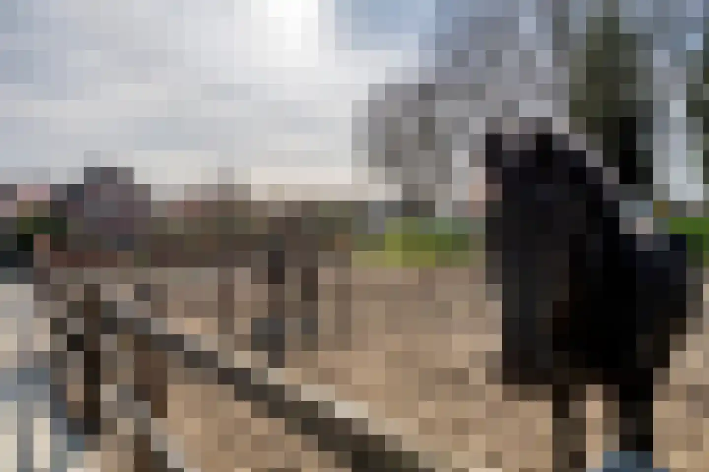 Plein 5 Zoelmond thumbnail 50