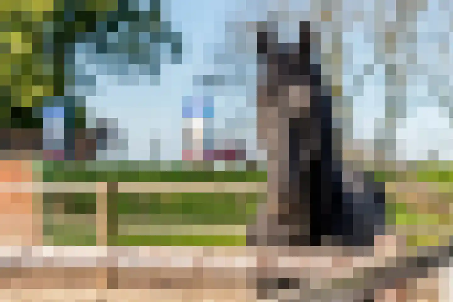 Plein 5 Zoelmond thumbnail 52