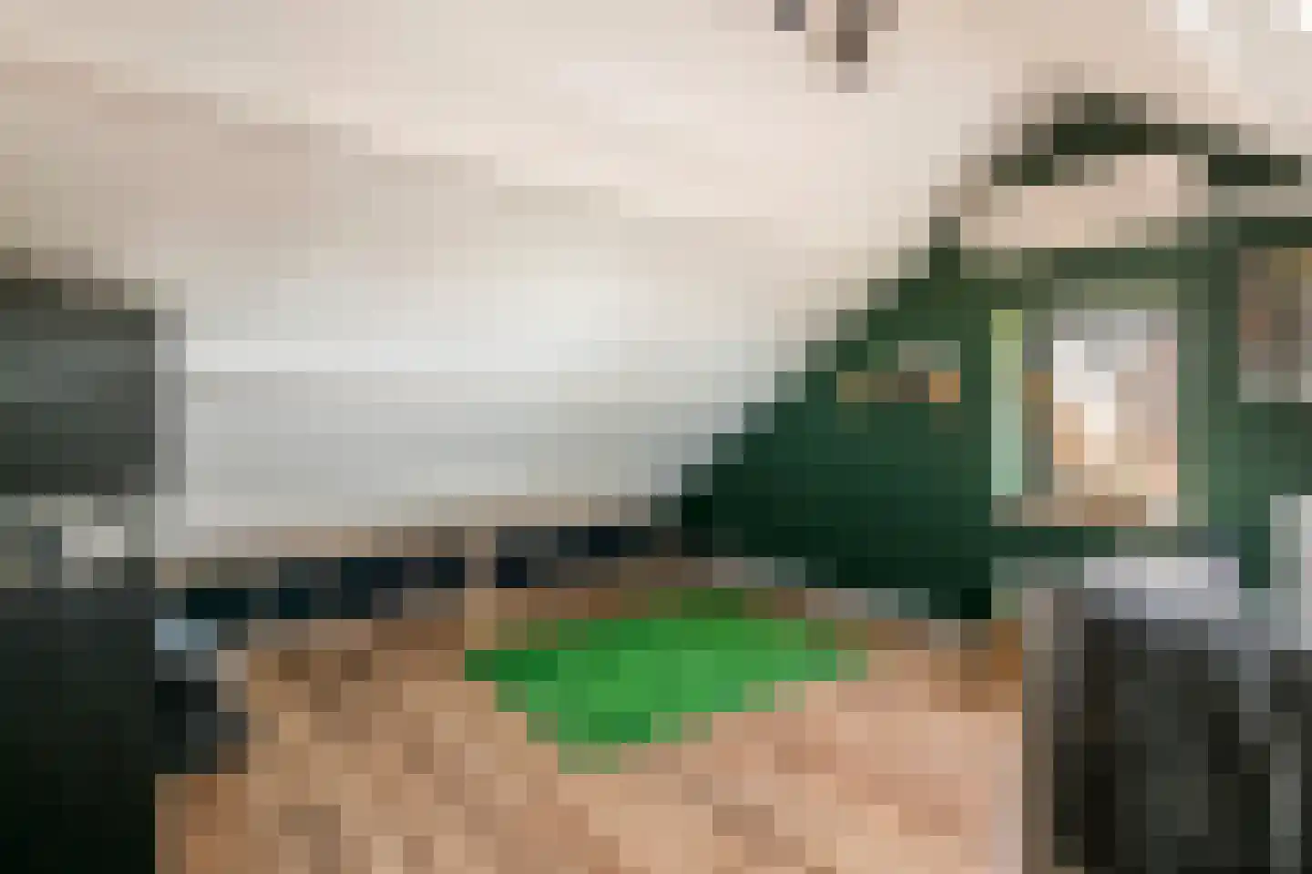 Plein 5 Zoelmond thumbnail 60