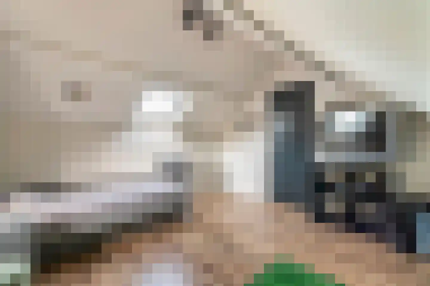Plein 5 Zoelmond thumbnail 61